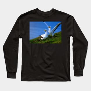 Gannets on Norfolk Island Long Sleeve T-Shirt